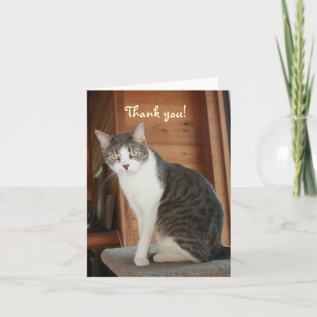 Tarjeta De Agradecimiento El personalizable le agradece (Anverso)