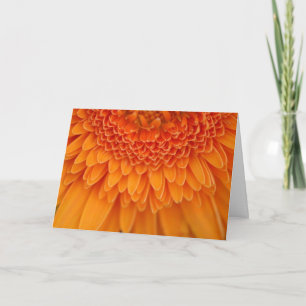 Tarjeta De Agradecimiento El pétalo de la flor le agradece cardar