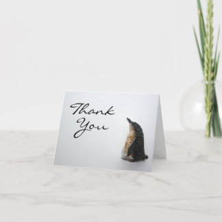 Tarjeta De Agradecimiento El pingüino le agradece cardar