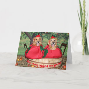 Tarjeta De Agradecimiento El profesor de las manzanas del golden retriever