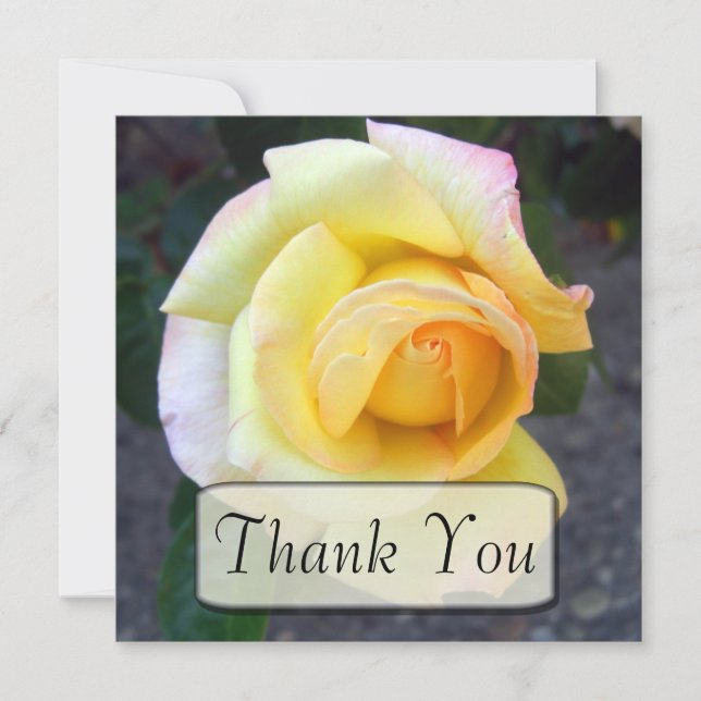 Tarjeta De Agradecimiento El rosa amarillo de florecimiento le agradece las (Anverso)