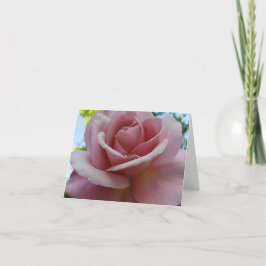 Tarjeta De Agradecimiento El rosa reveló secretos internos y paz