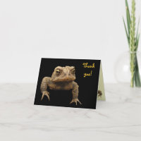 El sapo americano le agradece