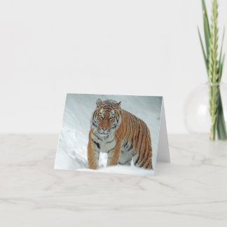 Tarjeta De Agradecimiento El tigre hermoso en la nieve