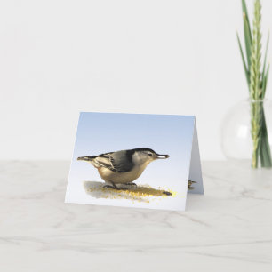 Tarjeta De Agradecimiento El trepatroncos Blanco-breasted le agradece