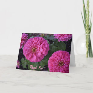 Tarjeta De Agradecimiento El zinnia de las rosas fuertes le agradece
