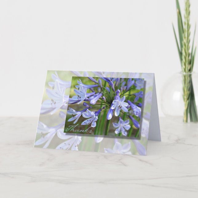 Tarjeta De Agradecimiento Elegante Blue Agapanthus Cualquier Oportunidad Tar (Anverso)