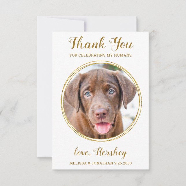 Tarjeta De Agradecimiento Elegante Boda de Mascota de fotografía de perro Pe (Anverso)