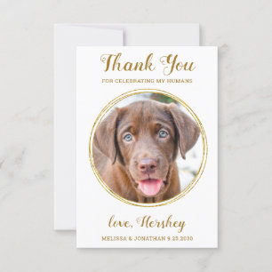 Tarjeta De Agradecimiento Elegante Boda de Mascota de fotografía de perro Pe