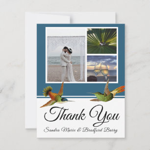 Tarjeta De Agradecimiento Elegante Colibrí Azul Boda Foto Collage