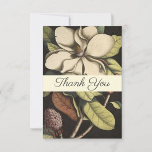 Tarjeta De Agradecimiento Elegante Crema de Sabio Magnolia Script Floral Bus