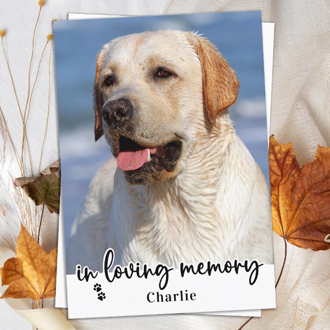 Tarjeta De Agradecimiento Elegante En La Foto Conmemorativa Del Mascota De P (Subido por el creador)
