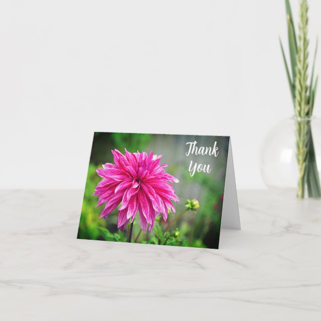 Tarjeta De Agradecimiento Elegante flor rosa de Dahlia Garden (Anverso)
