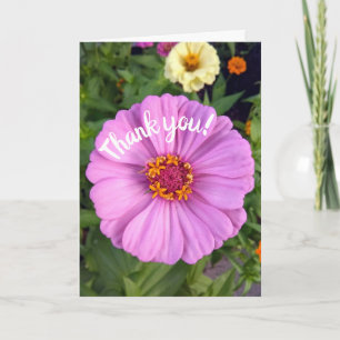 Tarjeta De Agradecimiento Elegante flor rosa de Zinnia flor de agradecimient