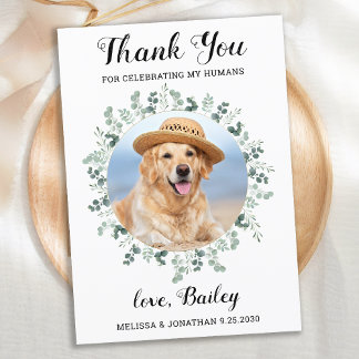 Tarjeta De Agradecimiento Elegante Mascota de follaje Eucalyptus Boda de Per