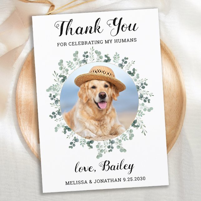 Tarjeta De Agradecimiento Elegante Mascota de follaje Eucalyptus Boda de Per (Subido por el creador)