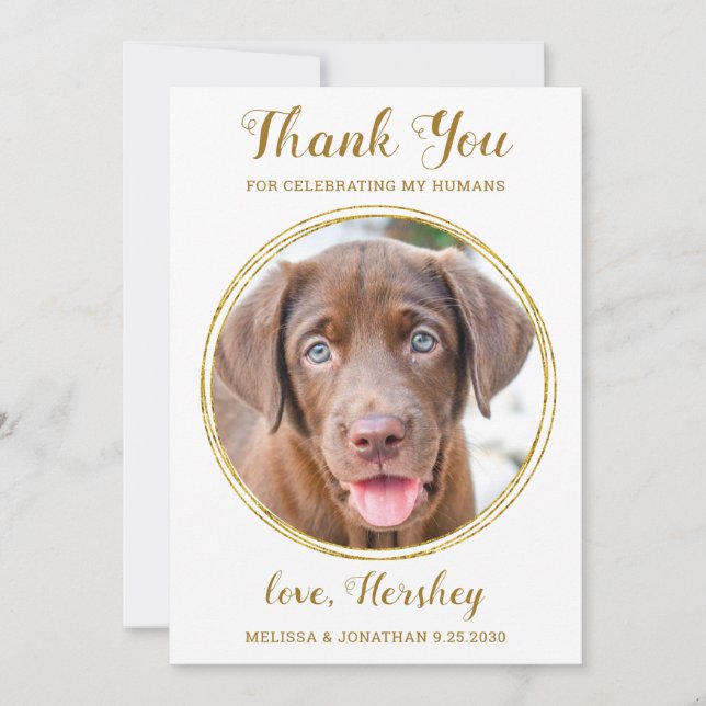 Tarjeta De Agradecimiento Elegante Moda Personalizado de oro Mascota de foto (Anverso)