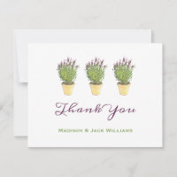 Elegante Planta Potentada De Lavanda Francesa Grac