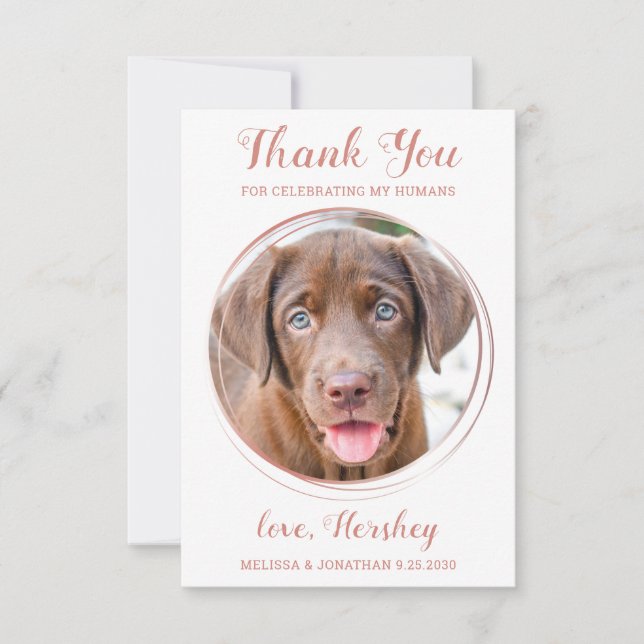 Tarjeta De Agradecimiento Elegante Rosa Personalizado de oro Boda Mascota de (Anverso)