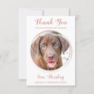 Tarjeta De Agradecimiento Elegante Rosa Personalizado de oro Boda Mascota de