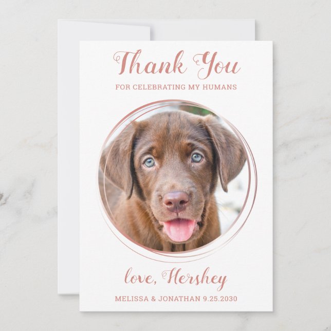 Tarjeta De Agradecimiento Elegante Rosa Personalizado de oro Mascota de foto (Anverso)