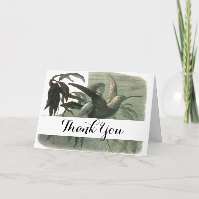 Tarjeta De Agradecimiento Elf Fairies Elves Moon Night Scene Bird Flying (Anverso)