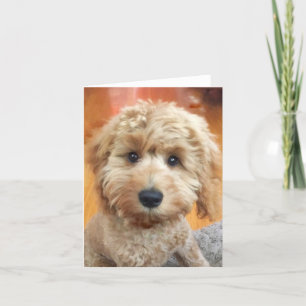 Tarjeta De Agradecimiento Ella Bella Banana cachorro cerca