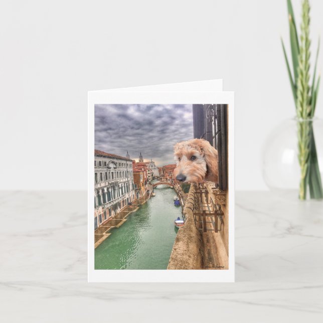 Tarjeta De Agradecimiento Ella Bella Banana revisa las vistas al canal de Ve (Anverso)