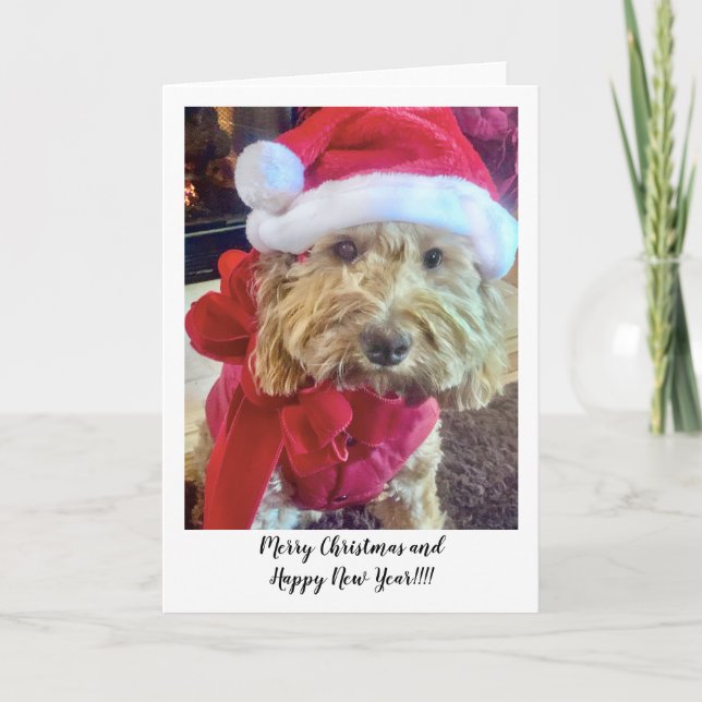 Tarjeta De Agradecimiento Ella Bella Banana Santa (Anverso)