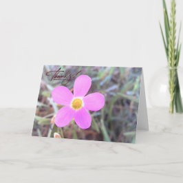 Tarjeta de agradecimiento en blanco con flor silve