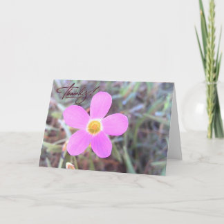 Tarjeta de agradecimiento en blanco con flor silve