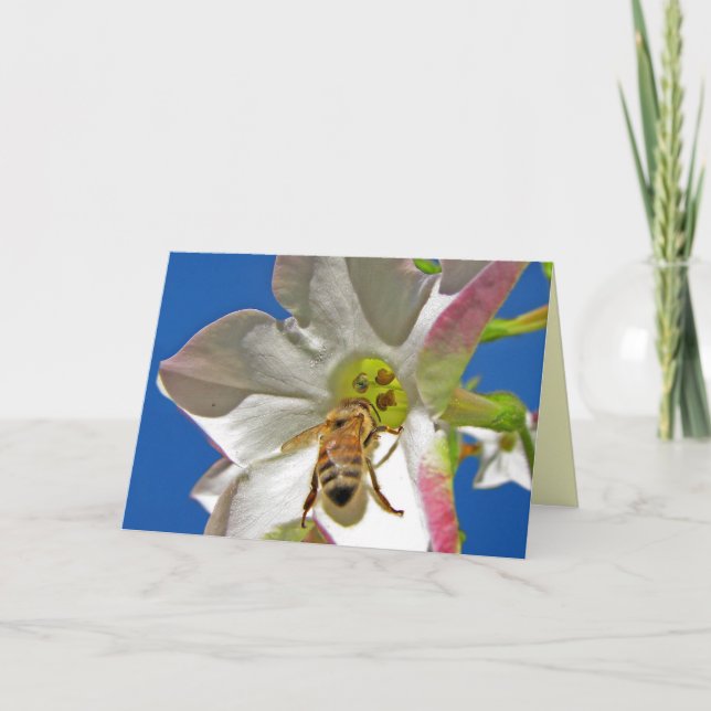 Tarjeta De Agradecimiento En el centro Gracias (Anverso)