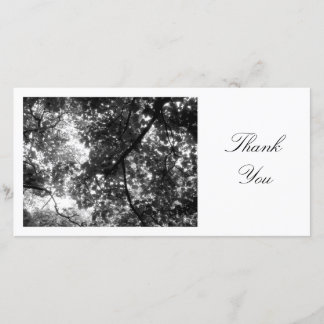 Tarjeta De Agradecimiento En los árboles - gracias
