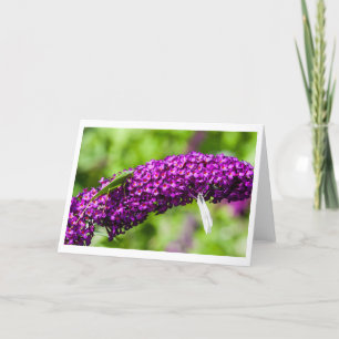 Tarjeta De Agradecimiento energía katydid