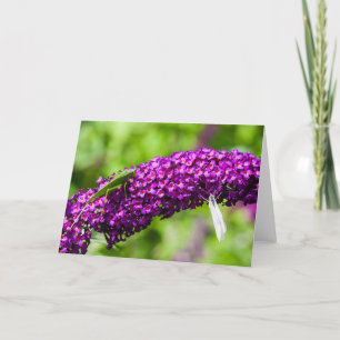 Tarjeta De Agradecimiento energía katydid