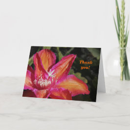 Tarjeta De Agradecimiento Epiphyllum le agradece cardar