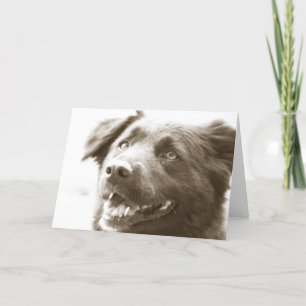 Tarjeta De Agradecimiento ¡Era grande viéndole!