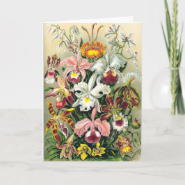 Tarjeta De Agradecimiento Ernst Haeckel - Orchids