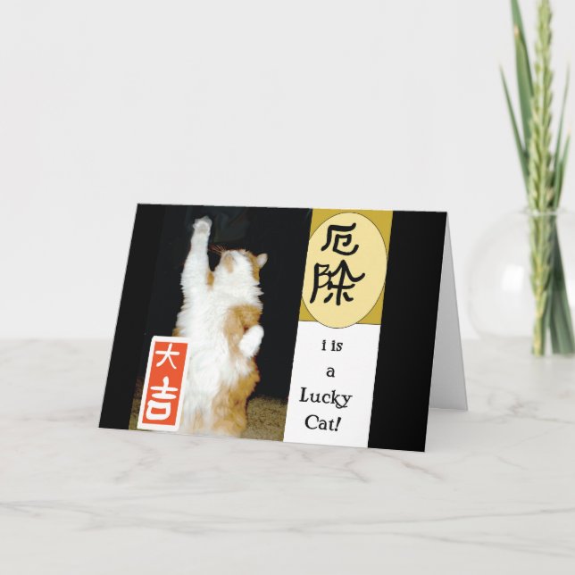 Tarjeta De Agradecimiento es un gato afortunado, gracias (Anverso)
