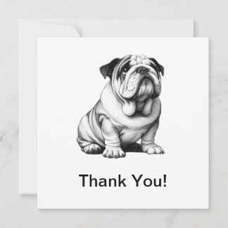 Tarjeta De Agradecimiento Esbozo de bulldog blanco y negro