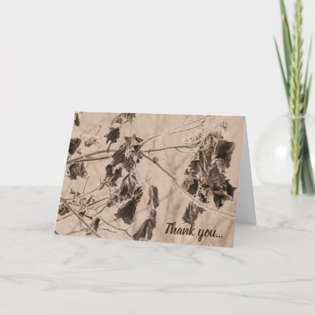 Tarjeta De Agradecimiento Escarcha de invierno sobre hojas de Sepia (Anverso)
