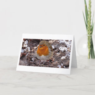 Tarjeta De Agradecimiento Escenas de invierno -tarjeta de saludo Robin