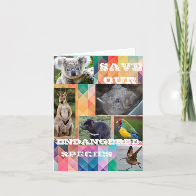 Tarjeta De Agradecimiento Especies en peligro de extinción en Australia (Anverso)