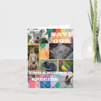 Especies en peligro de extinción en Australia