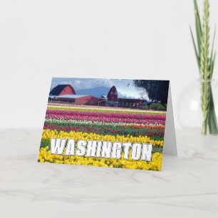 Tarjeta De Agradecimiento Estado de Washington   Campo de Tulipanes   Gracia