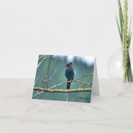 Tarjeta De Agradecimiento Estelar Jay Bird en una Rama