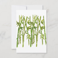 Estrellas del grupo de bambú