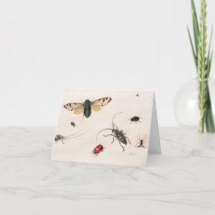Tarjeta De Agradecimiento Estudios de insectos de Johannes Bronckhorst