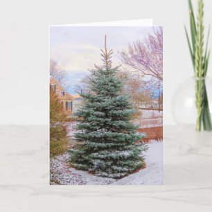 Tarjeta De Agradecimiento Evergreen en invierno