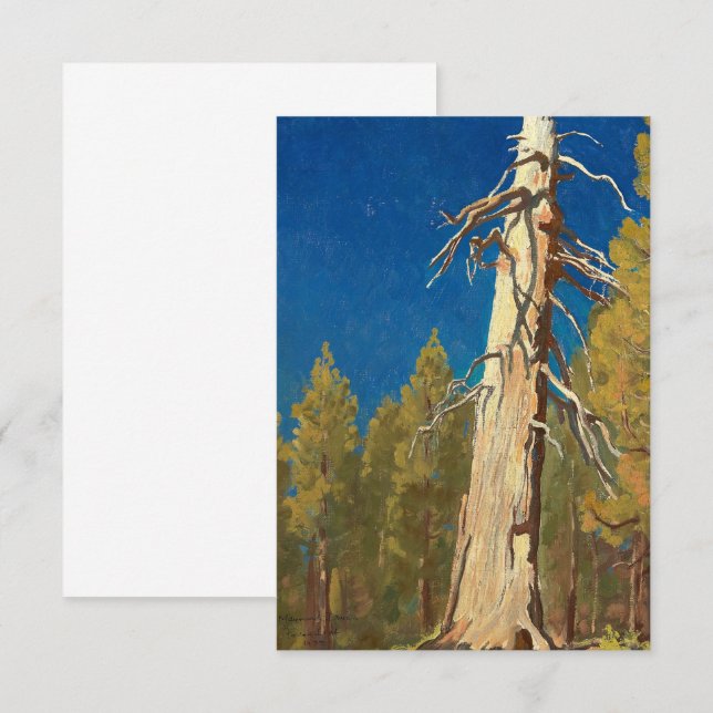 Tarjeta De Agradecimiento Fallen Leaf de Maynard Dixon (Anverso / Reverso)